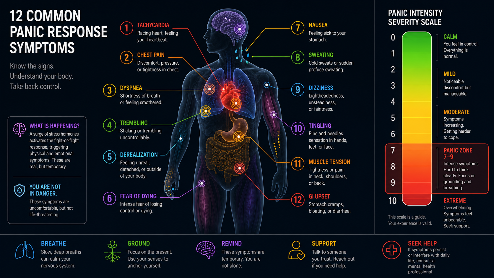NSR-47 - panic-attack-symptoms