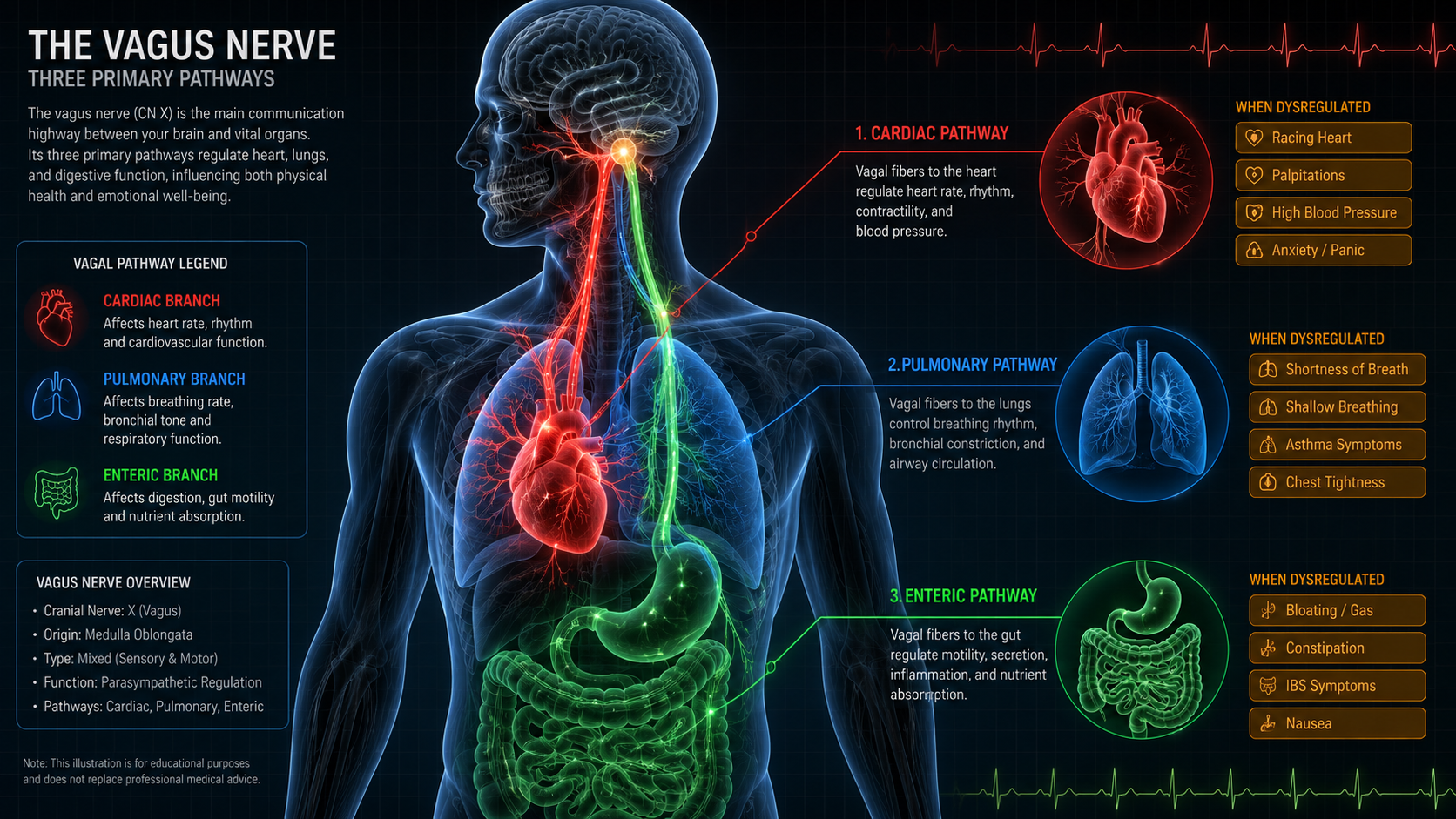 NSR-47 - physical-symptoms-of-anxiety
