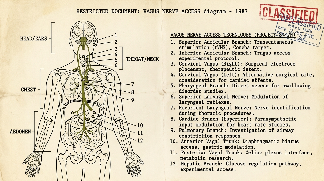 NSR-47 vagus nerve exercises for anxiety relief quick techniques