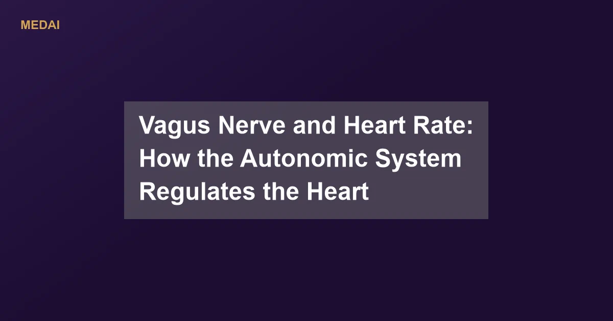 How the vagus nerve slows the heart, raises heart rate variability, and why your heart races during anxiety. Plus what the research shows.